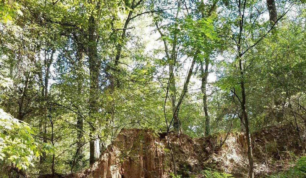 Mississippi Petrified Forest, Mississippi, USA